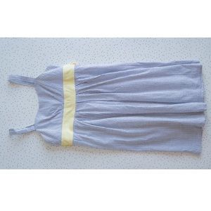 Gray Gingham Seersucker Dress